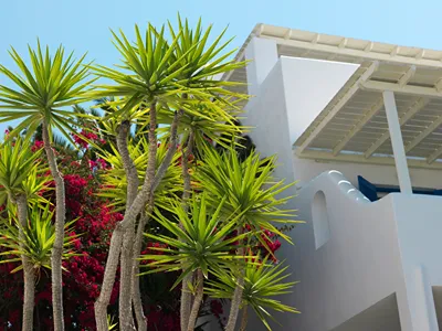 Aloni Hotel Paros