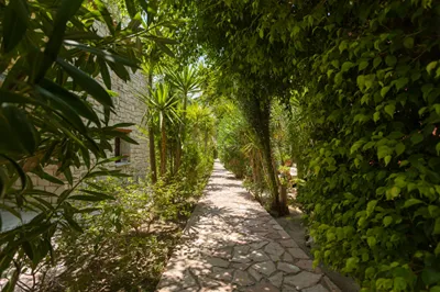 Garden of Eden Zante