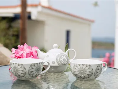 Villa Fiamegou Andros