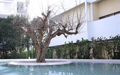 Ogarden Athens