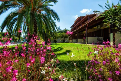 Palladium Hotel Halkidiki