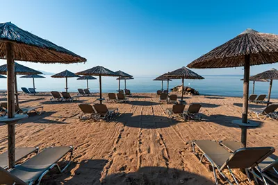 Blue Dolphin Hotel Chalkidiki