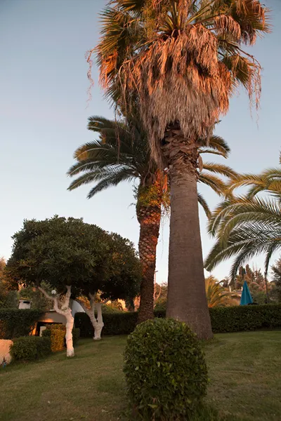 Anita Hotel Corfu