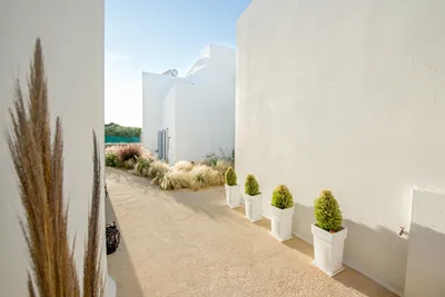 Poema Antiparos