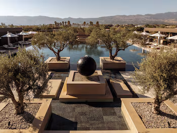 The Ritual, A Wellness Retreat