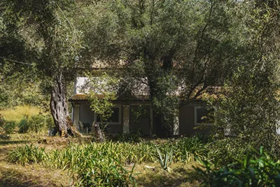 Villa Dimoulitsa