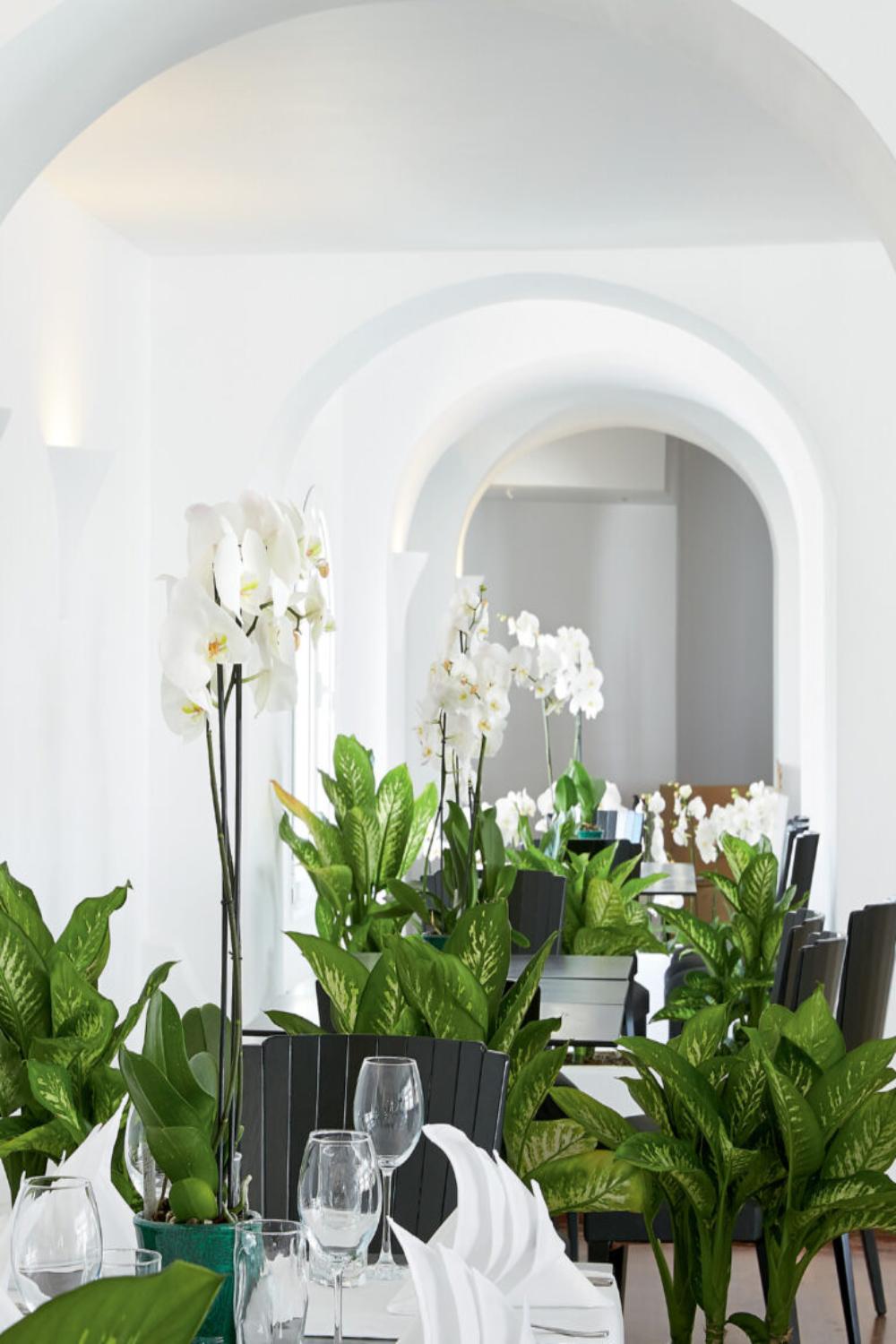 Caramel, A Grecotel Resort to Live