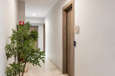 Enattica Syntagma Living
