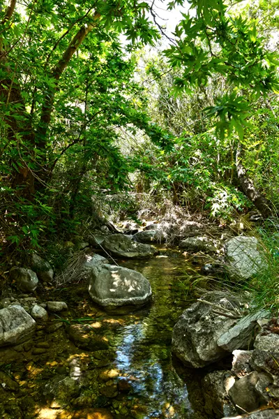 Aspros Potamos Houses