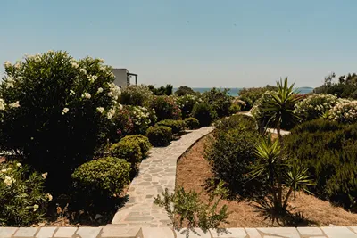 Soros Beach Antiparos