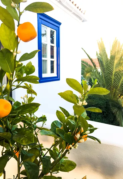 Armata Boutique Hotel Spetses