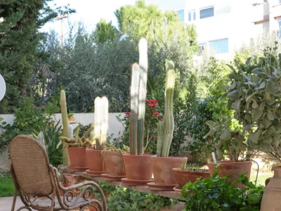 Evi's Voula Home