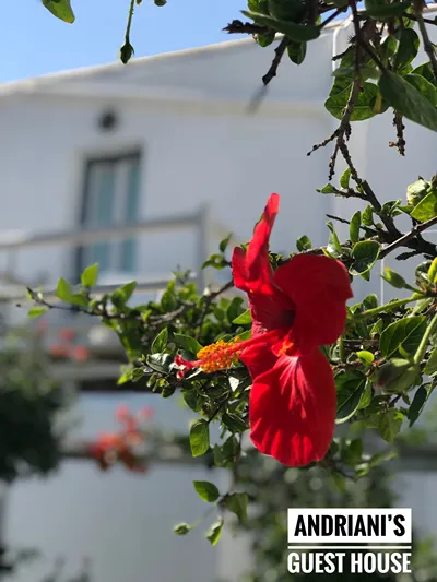 Andriani's Guest House