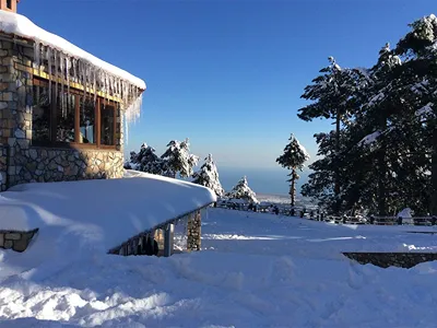 Ktima Faki