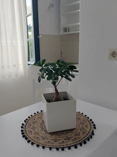 Anthonas Apartments