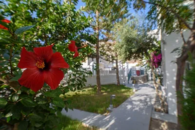 Iris Boutique Hotel Santorini