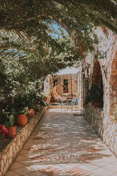 Creta Vitalis