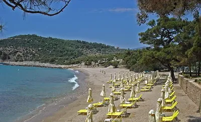 Royal Paradise Beach Resort and Spa