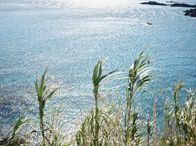 Mykonos Lolita, A Grecotel Resort to Live