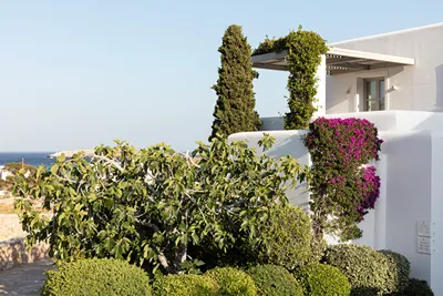 ANEMI Folegandros