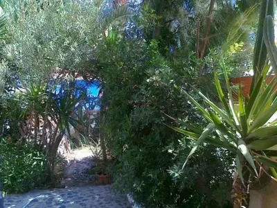 Danae Villa