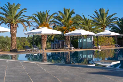 Blue Dolphin Hotel Chalkidiki