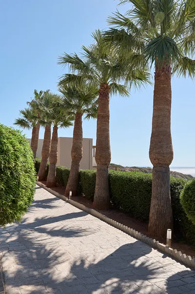 Atlantica Mikri Poli Crete