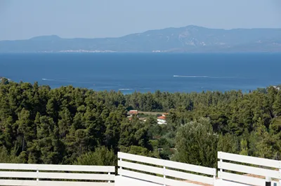 Terra Olivia Chalkidiki