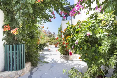 Paul's Studio Santorini