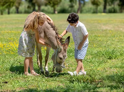 Grecotel LUXME Costa Botanica