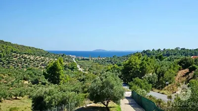Lion Villa