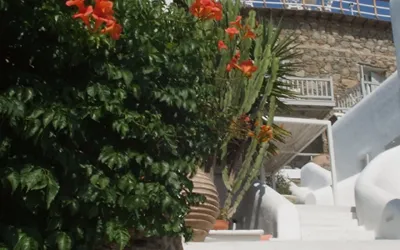 Mykonos View Hotel