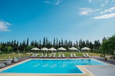 Olea Mare