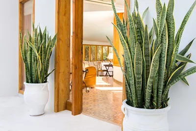 Ergon Hestia | Architectural Villa with Pool