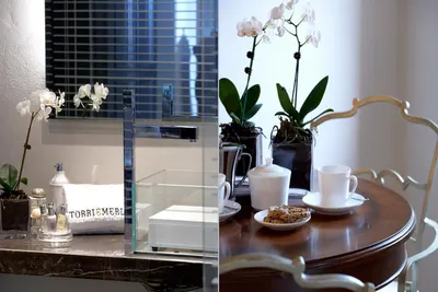 Torri e Merli Boutique Hotel