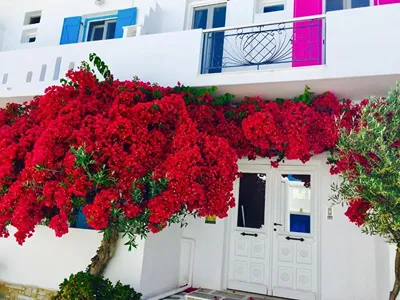 Afrodite Boutique Hotel