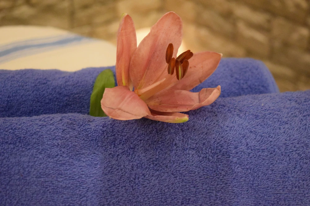 Hotel Myrtis