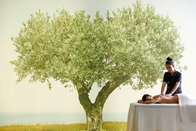 Cavo Olympo Luxury Hotel & Spa - Adult Only