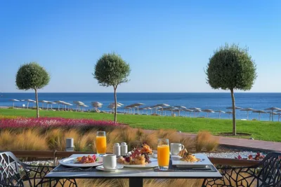 ELYSIUM RESORT & SPA