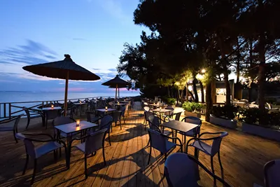 Blue Dolphin Hotel Chalkidiki
