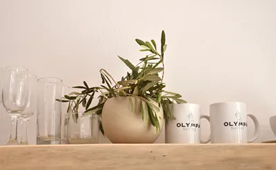 Olympa Suites
