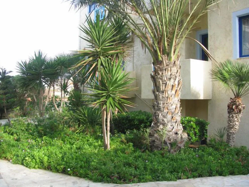 OV Suites
