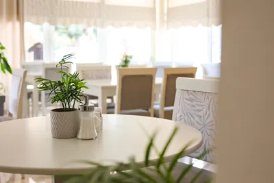 Alkyonis Hotel Chalkidiki