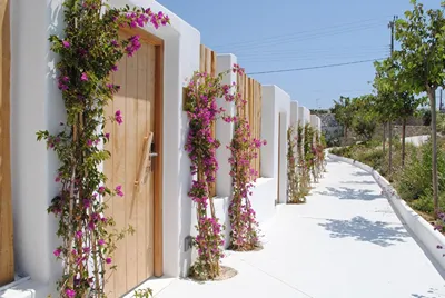 Akkadian Mykonos Resort