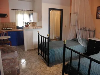 Danae Villa
