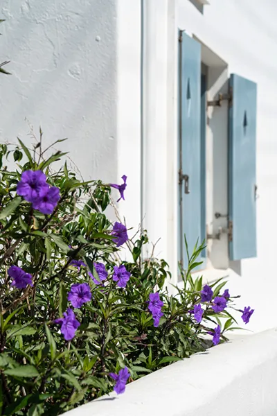 Iris Hotel Paros