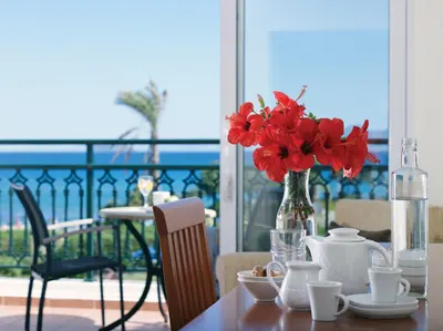 Porto Bello Royal