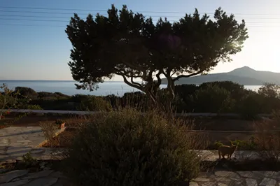 Oliaros Seaside Lodge