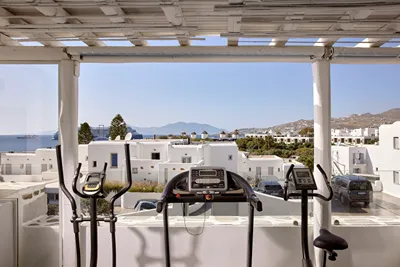 Adonis Hotel Mykonos