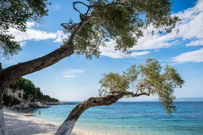 Villas Muscalas